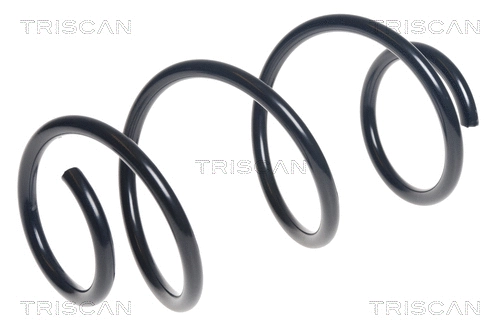 Suspension Spring (8750 25126)
