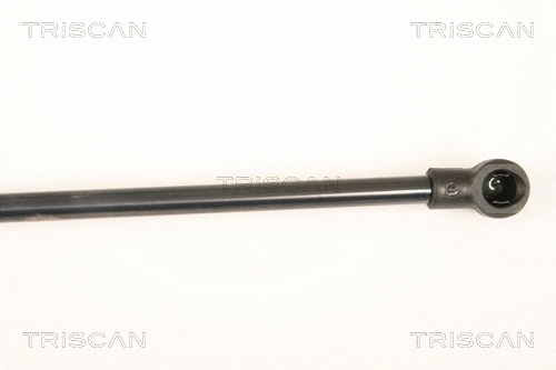 Gas Spring, boot/cargo area