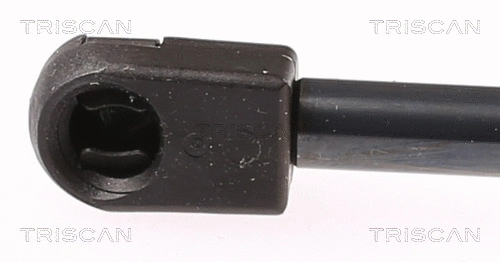Gas Spring, bonnet