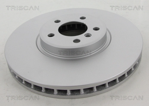 Brake Disc (8120 11194C)