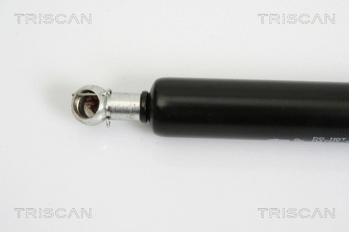 Gas Spring, boot/cargo area