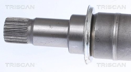 Drive Shaft