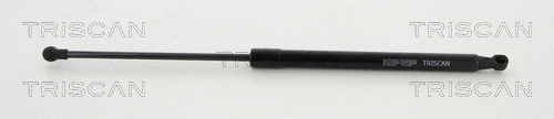 Gas Spring, boot/cargo area (8710 25270)