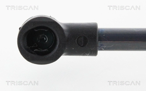 Gas Spring, boot/cargo area