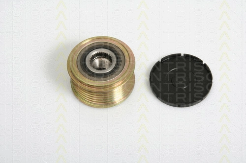 Alternator Freewheel Clutch (8641 104005)
