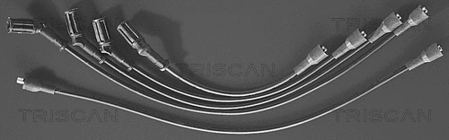 Ignition Cable Kit (8860 4118)