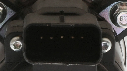 EGR Valve