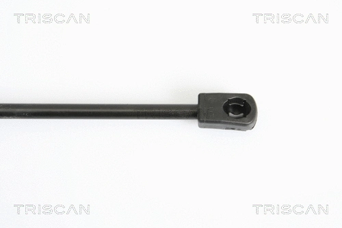 Gas Spring, bonnet