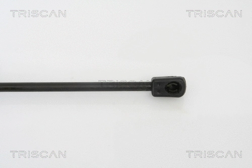 Gas Spring, boot/cargo area