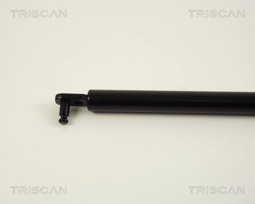 Gas Spring, boot/cargo area