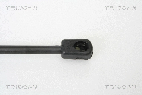 Gas Spring, boot/cargo area