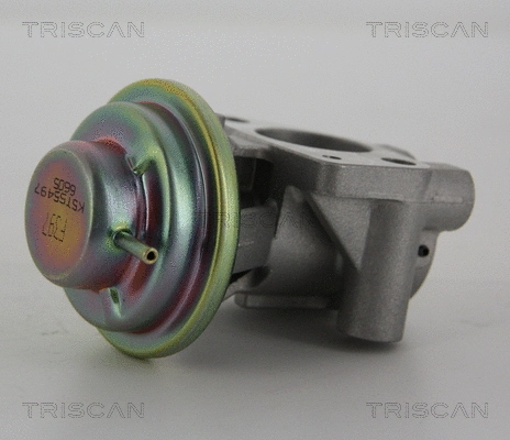 EGR Valve