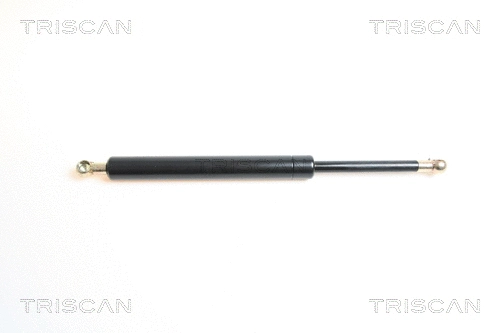 Gas Spring, boot/cargo area (8710 65208)