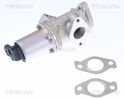 EGR Valve (8813 43024)