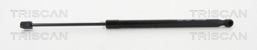 Gas Spring, boot/cargo area (8710 24250)