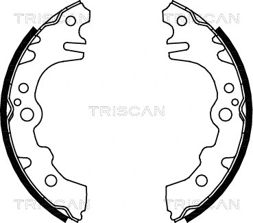 Brake Shoe Set (8100 41619)