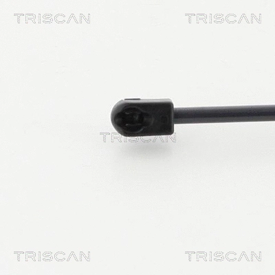 Gas Spring, bonnet