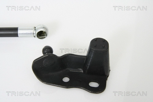 Gas Spring, boot/cargo area