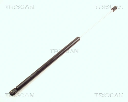 Gas Spring, boot/cargo area