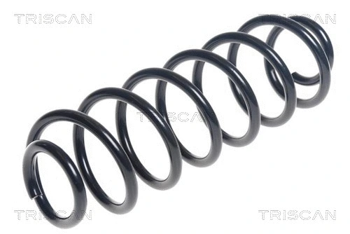 Suspension Spring (8750 16127)