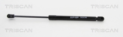 Gas Spring, boot/cargo area (8710 12217)