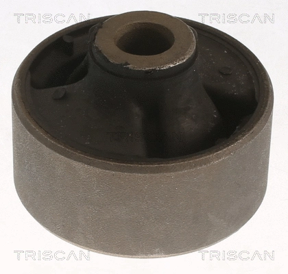 Mounting, control/trailing arm (8500 13876)