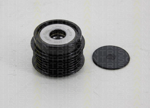 Alternator Freewheel Clutch (8641 434008)