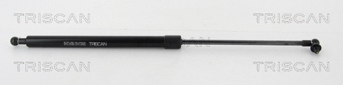 Gas Spring, boot/cargo area (8710 42242)