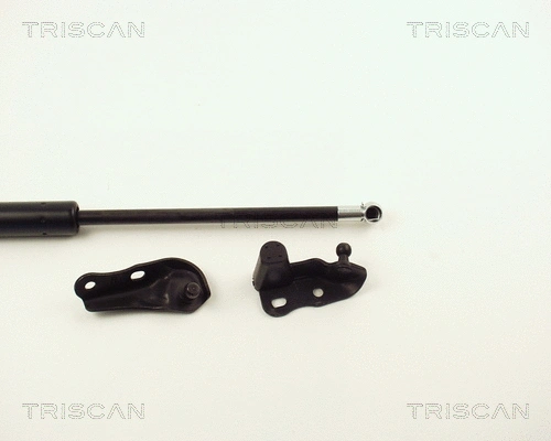Gas Spring, boot/cargo area