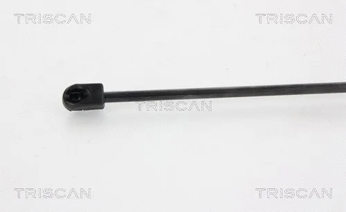 Gas Spring, boot/cargo area