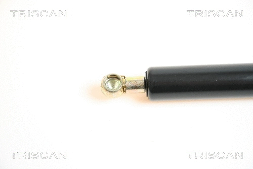 Gas Spring, boot/cargo area