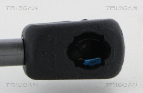 Gas Spring, boot/cargo area