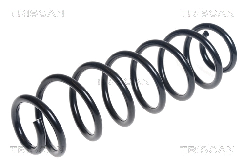 Suspension Spring (8750 29406)