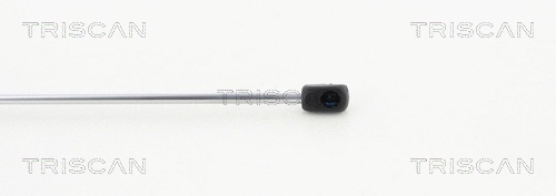 Gas Spring, boot/cargo area
