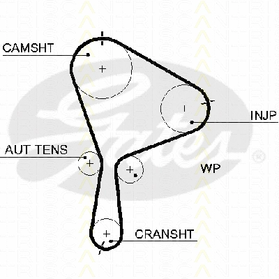 Timing Belt Kit
