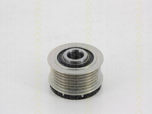 Alternator Freewheel Clutch (8641 144005)