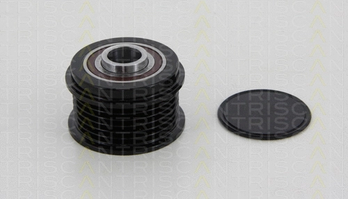 Alternator Freewheel Clutch (8641 274008)