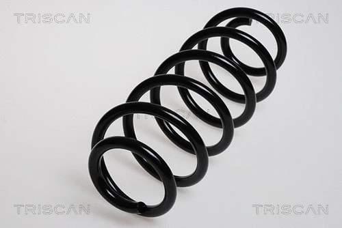 Suspension Spring (8750 29548)