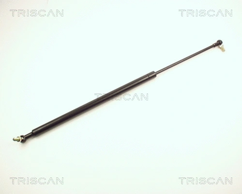 Gas Spring, boot/cargo area (8710 13206)