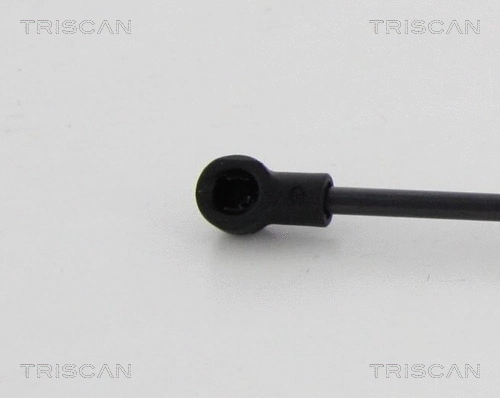 Gas Spring, rear window
