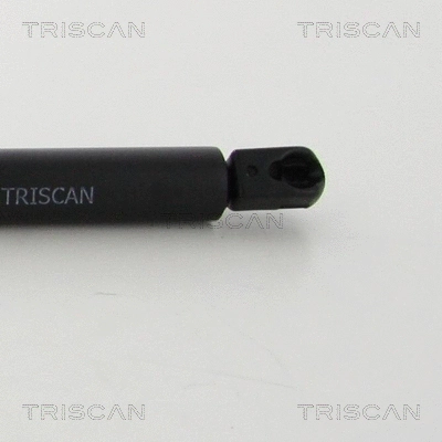 Gas Spring, boot/cargo area