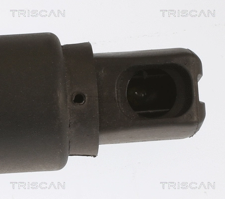 Gas Spring, boot/cargo area