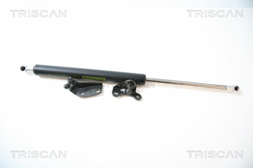 Gas Spring, boot/cargo area (8710 40224)