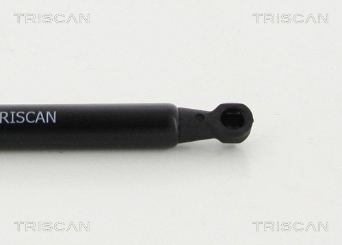 Gas Spring, bonnet (8710 15107)