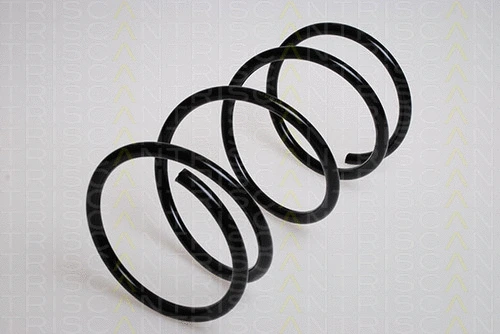 Suspension Spring (8750 4042)