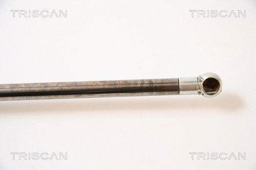 Gas Spring, boot/cargo area