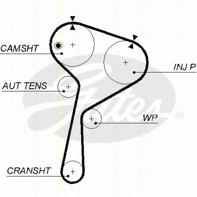Timing Belt Kit