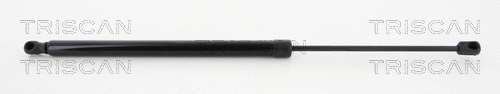 Gas Spring, boot/cargo area (8710 292103)