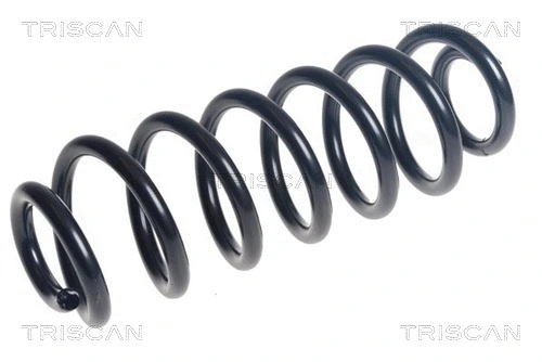 Suspension Spring (8750 29510)