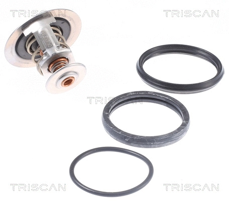 Thermostat, coolant (8620 46392)